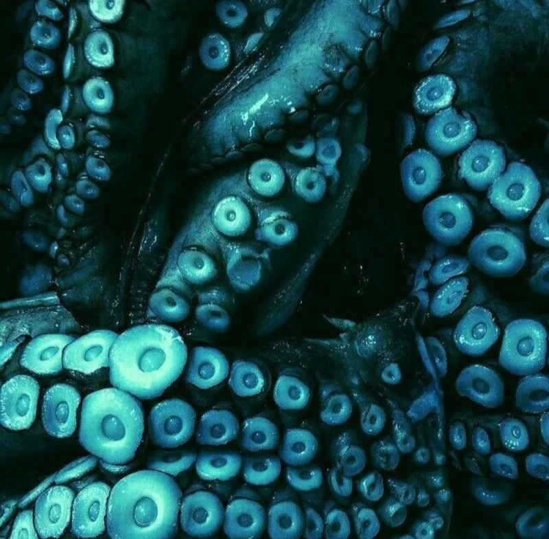 Azul Ashengrotto 