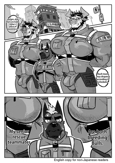 Breeding Bull Rescue Force