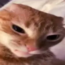 uh hi