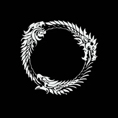 THE ELDER SCROLLS RPG