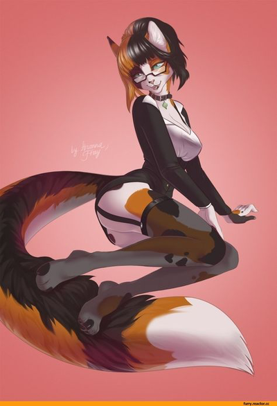 (Your four animals) The energetic cat
