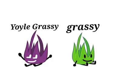 Yoyle Grassy