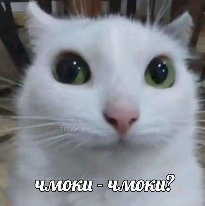 Ielts