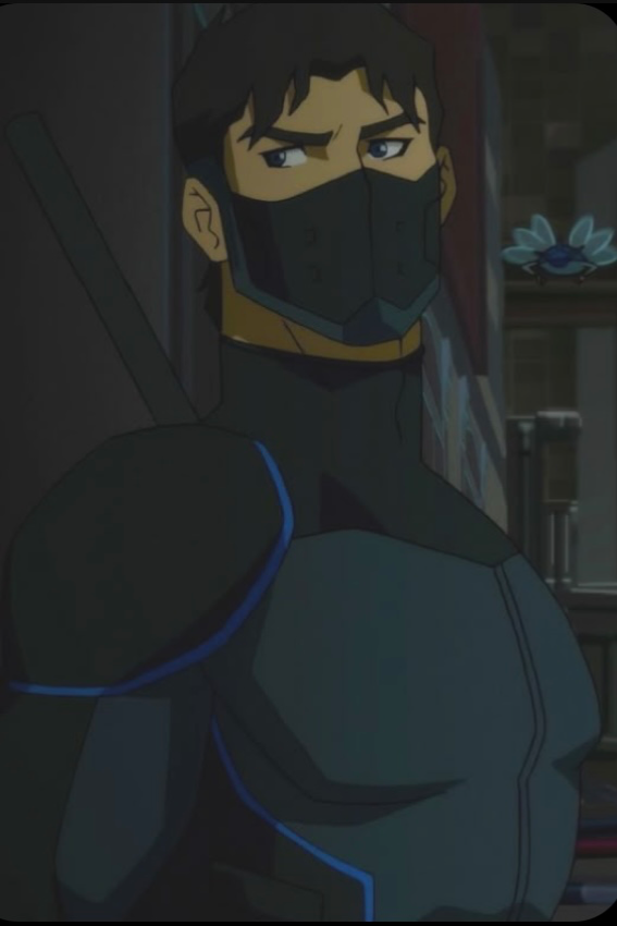   Grayson (Nightwing) 
