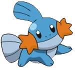 Chat with mudkip