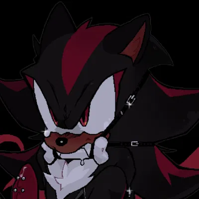 Shadow The Hedgehog