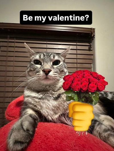 Happy Valentines