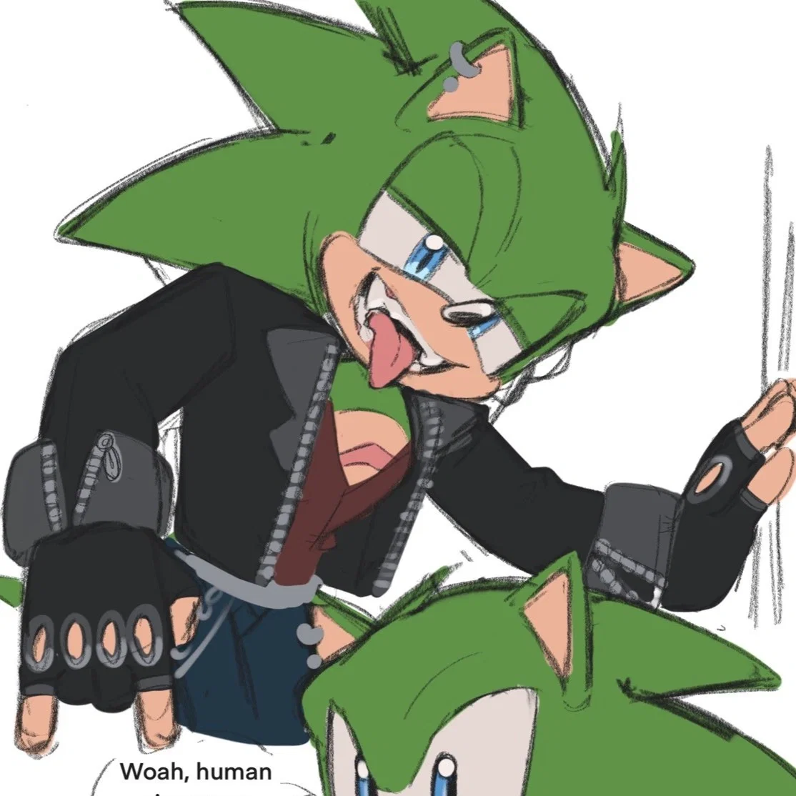 Scourge The Hedgehog