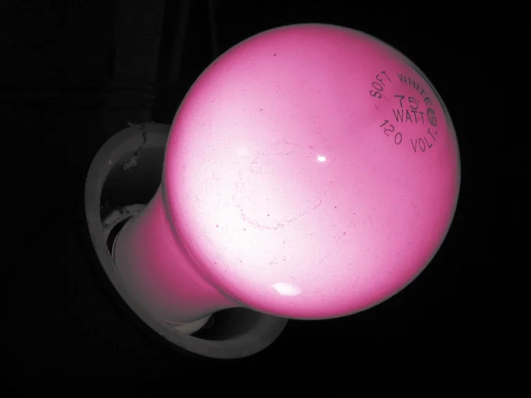 BubbleYou bubblegum