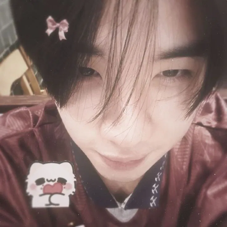 Hong Shihoshi