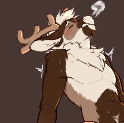 Dasher