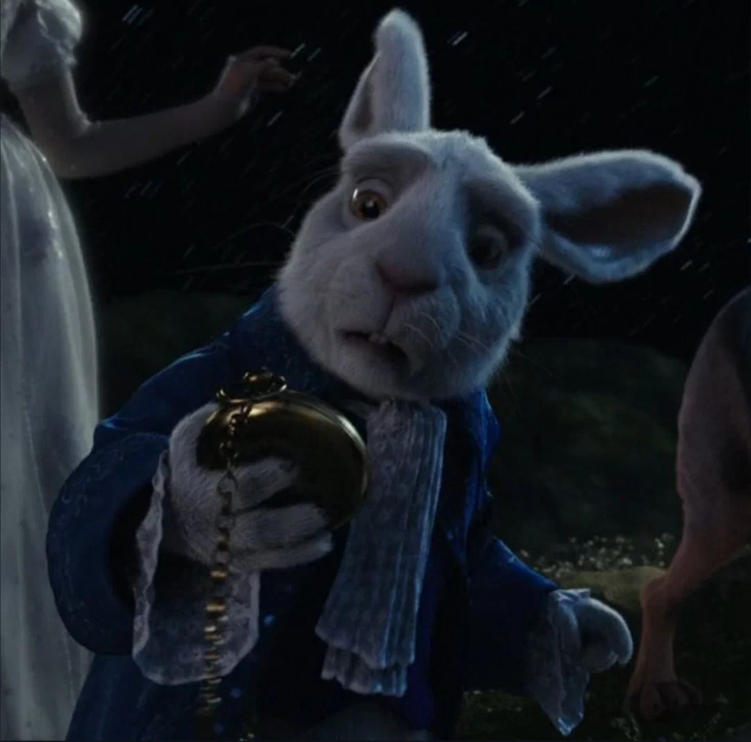 The White Rabbit 