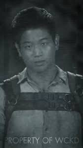 Minho - TMR - the maze runner