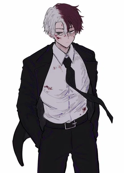 Shoto Todoroki (Shoto) ❄️🔥 || My Hero Academia || MHA 