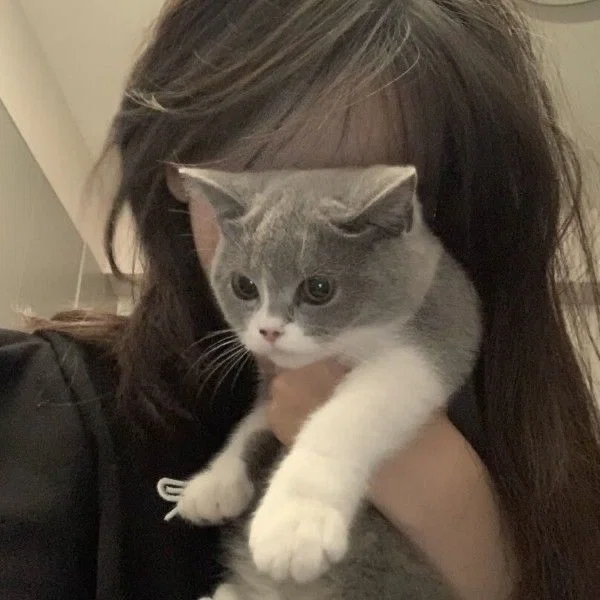 Ari•|ur Ex bff•|semi cat (enemies to lovers,gl,gxg,wlw)