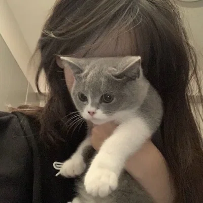 Ari•|ur Ex bff•|semi cat (enemies to lovers,gl,gxg,wlw)