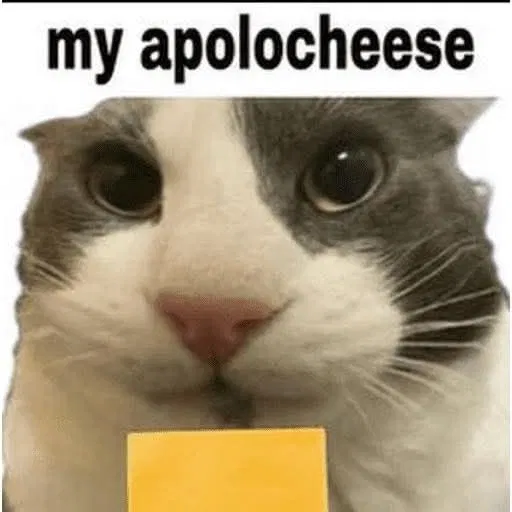 APOLOGY LETTER FOR my followers