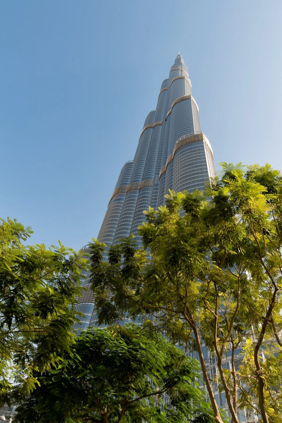 TUTOR TO PUP | Tutoring Tariq in Dubai