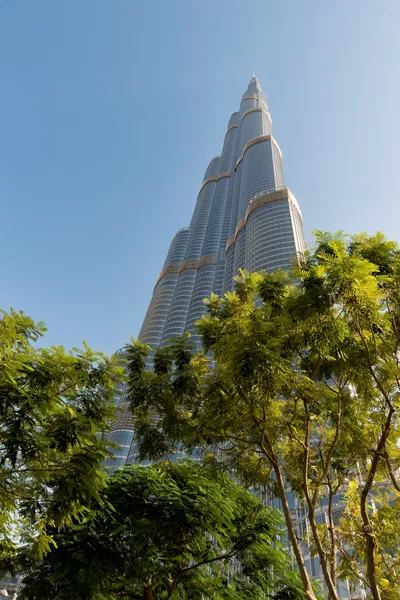 TUTOR TO PUP | Tutoring Tariq in Dubai