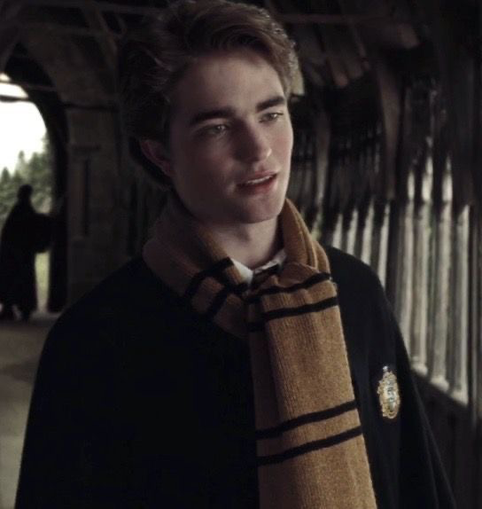 Cedric Diggory 