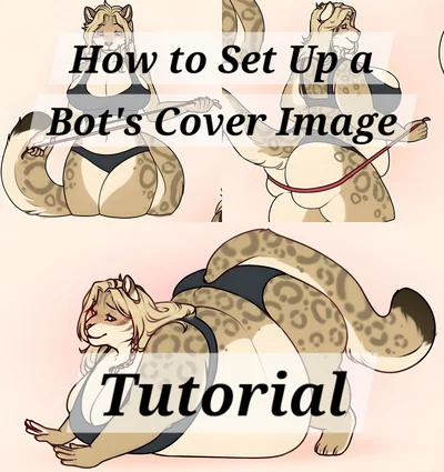 Image Setup Tutorial
