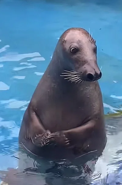 ....?