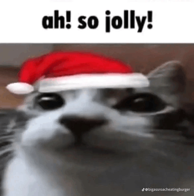 Merry Christmas!!