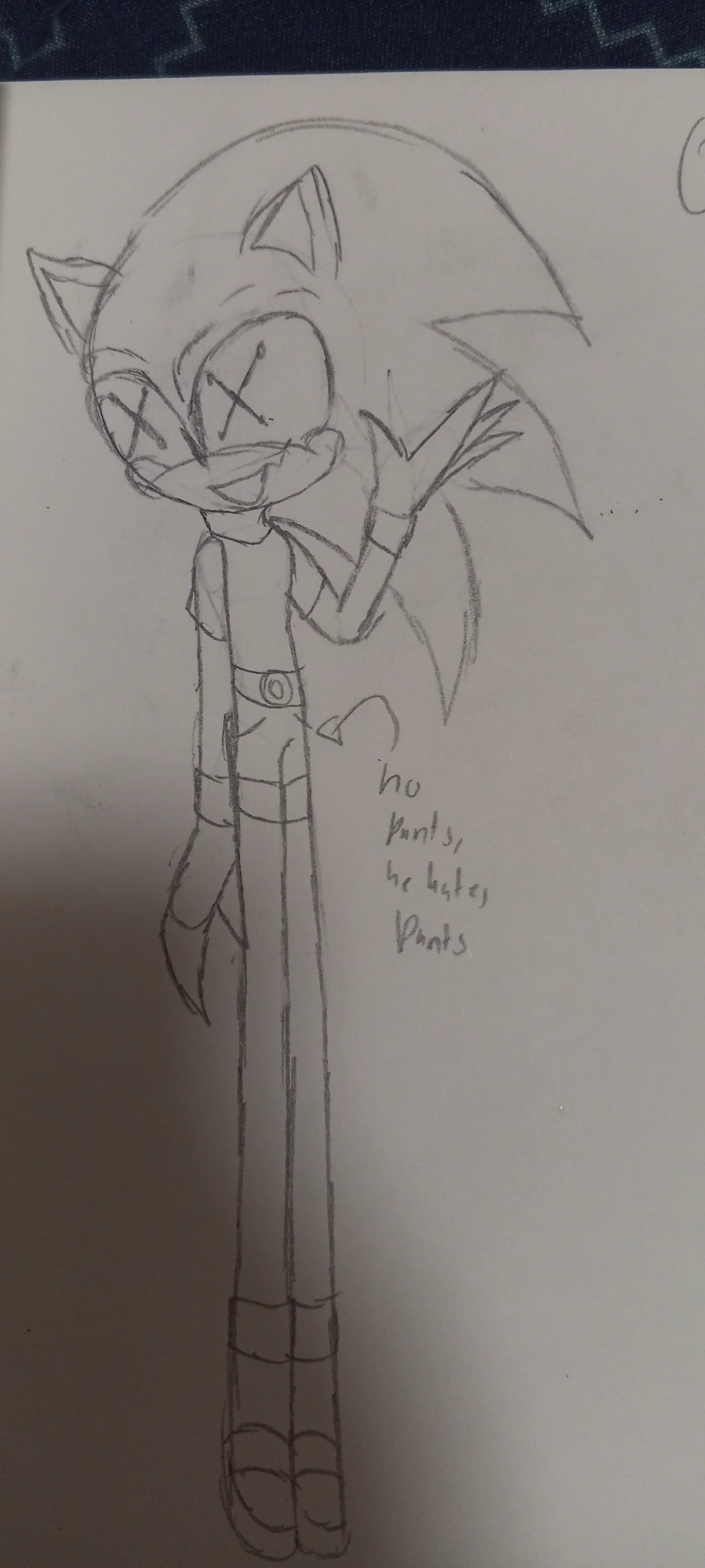 Other Sonic (Coraline AU)