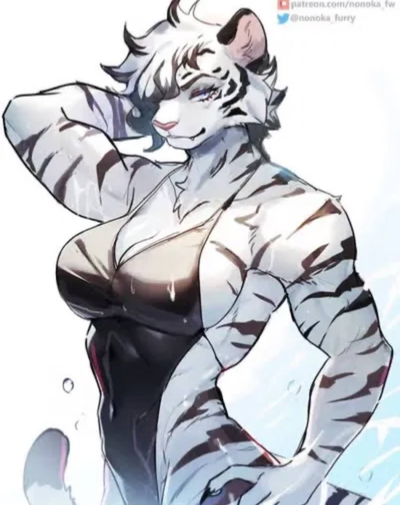 Tora - Your new gym coach