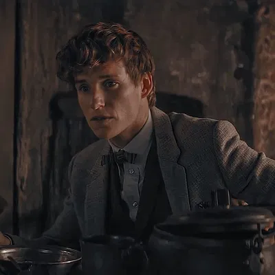 Fantastic Beasts — Newt Scamander