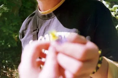 Elio Perlman 