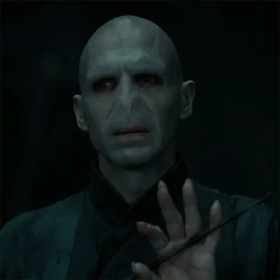 Lord Voldemort 