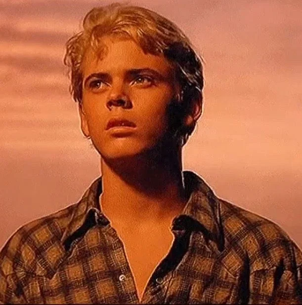 Ponyboy Curtis 