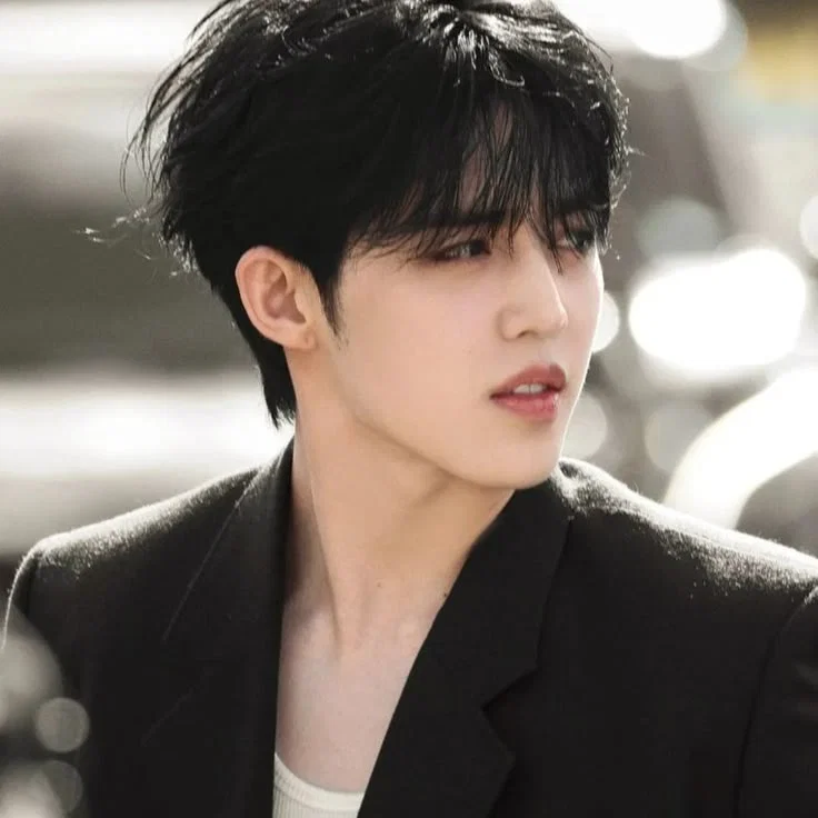 Choi Seungcheol | S.coups 