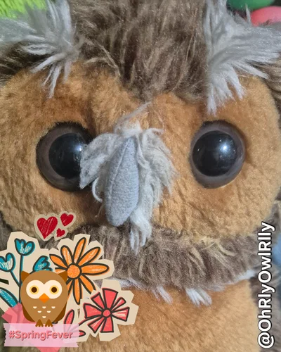 Owl Reilly ♣ Spring Day