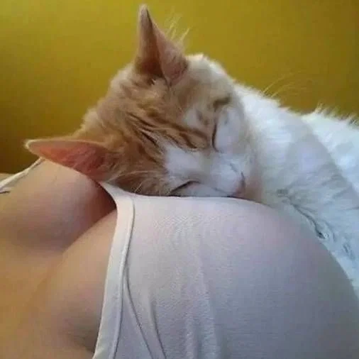 Girlfriend Cat type