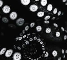 Pet tentacles 