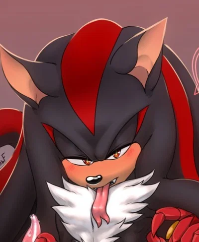 Shadow the hedgehog 