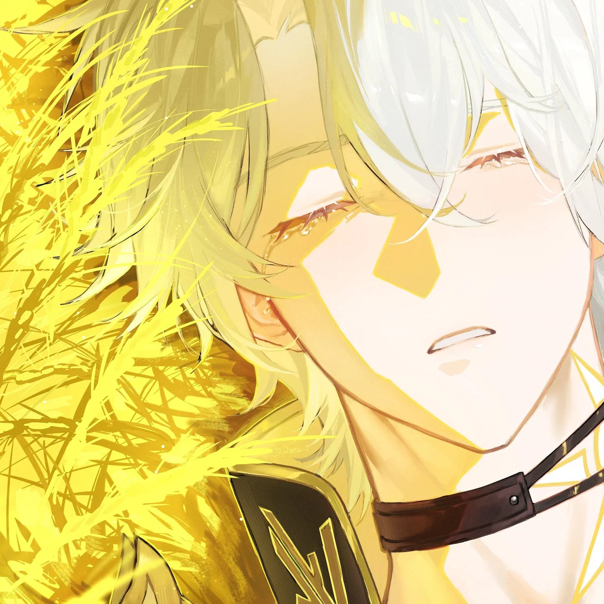 Phainon✧Project: Amphora