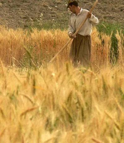 German Farmers