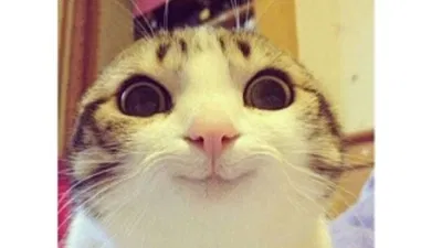 hello- 