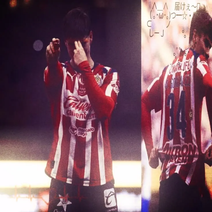 Armando Gonzales Alba |🐜