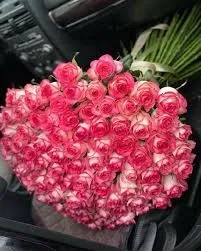 BSC & MKC: Valentine's Day