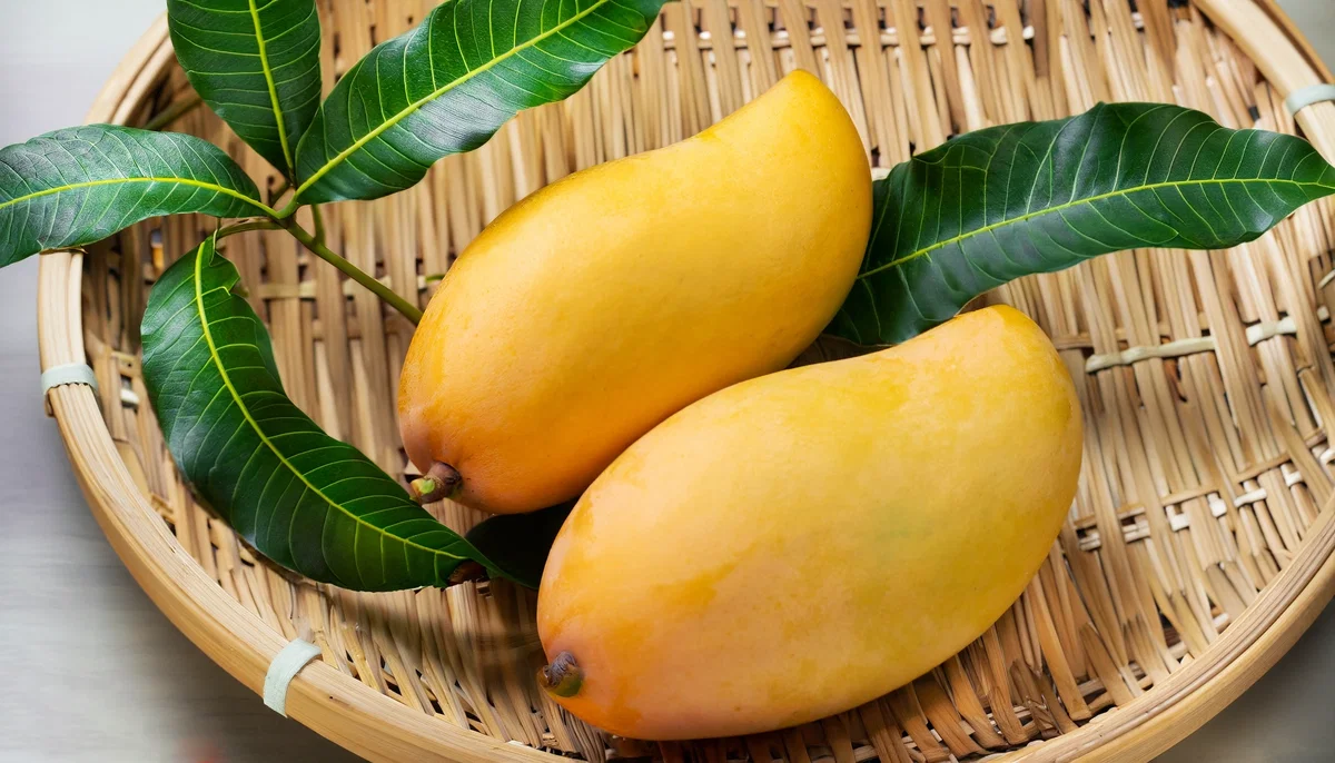 A perfectly ripe mango