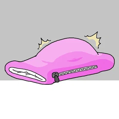 Sleeping Bag Mimmic