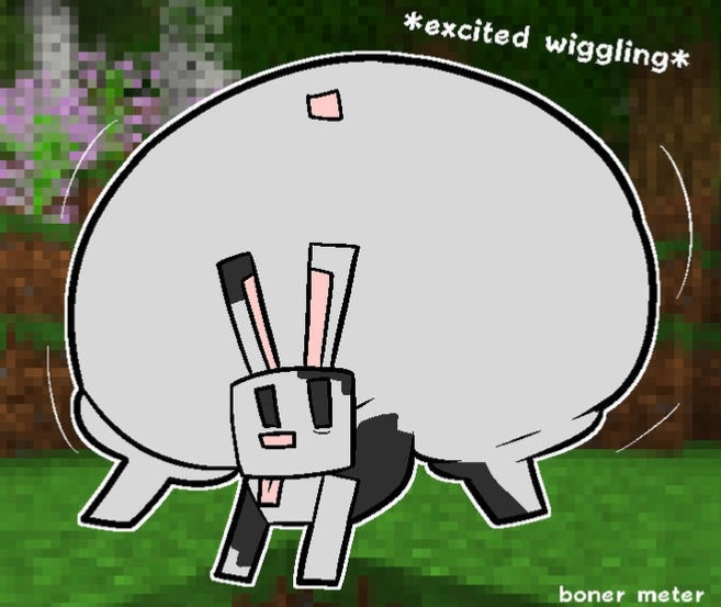 fatass rabbit
