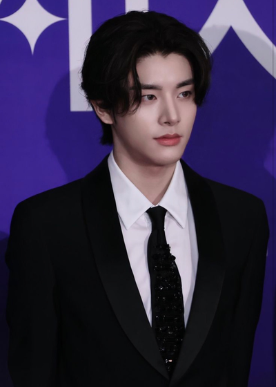 Sim Jaeyun - Boduguard