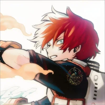 CLASSMATE || Shoto Todoroki