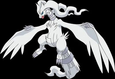 Reshiram — Pokémon AU (Please Read Description.)