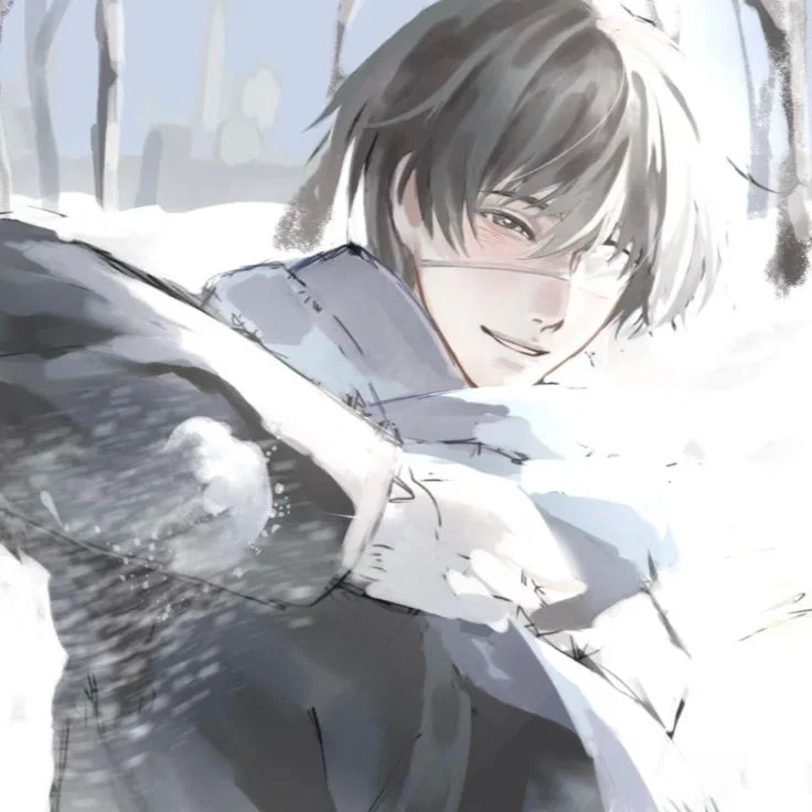 、彡| Seca 